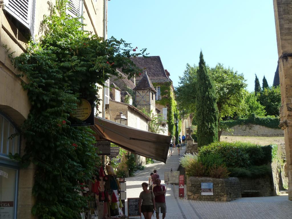 סרלה-לה קנדה Le Grand Appartement D'Albusse מראה חיצוני תמונה